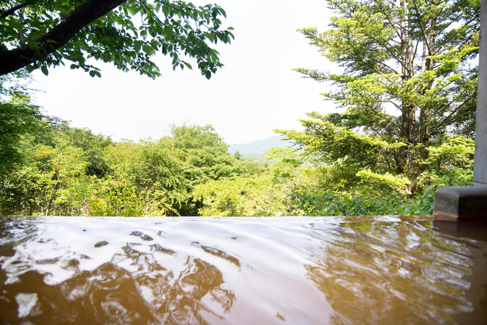 Arima Onsen Motoyu Ryuusenkaku Hotel Kobe Cameră foto